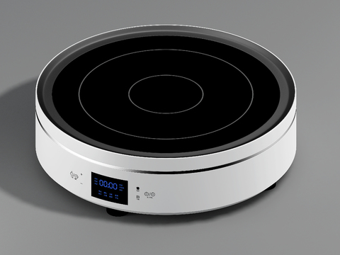 modern induction cooker