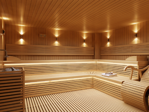 Sauna room steam room