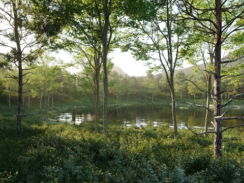 forest landscape mountains lake landscape tree