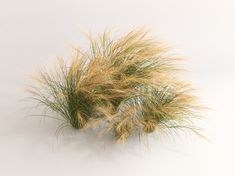 Reed, hay, flowers and grass