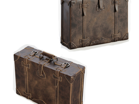 Modern Retro Luggage Luggage