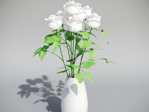 Modern White Rose Vase Flowers