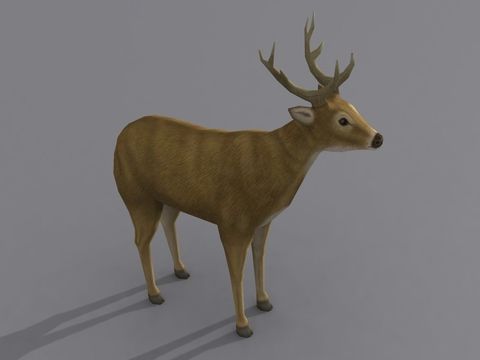 Modern Deer Free