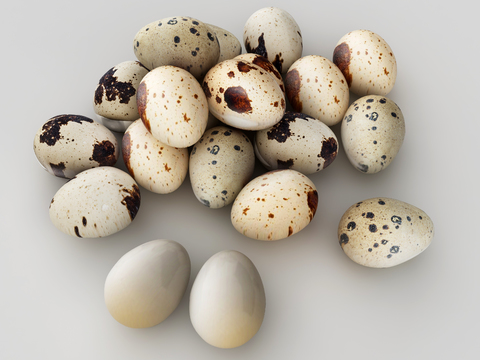 quail egg food