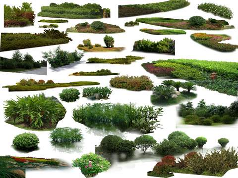 modern big tree landscape tree bushes psd