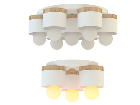 Modern Ceiling Light Free