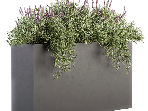 Modern plant potted flower box