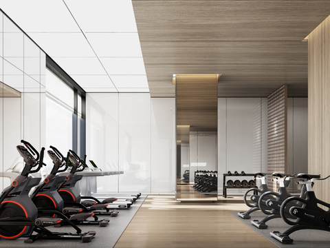 Modern Gym