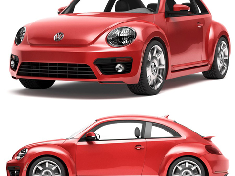 Hyundai Volkswagen Beetle