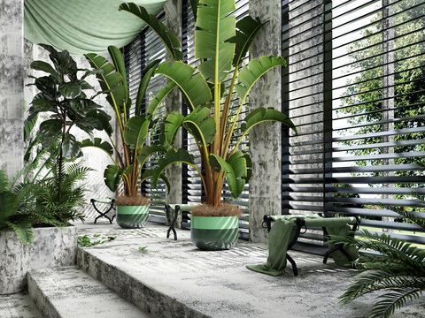 Modern indoor potted plants