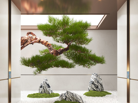 Indoor Landscaping Plants Pine