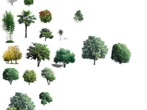 modern big tree tree landscape tree psd