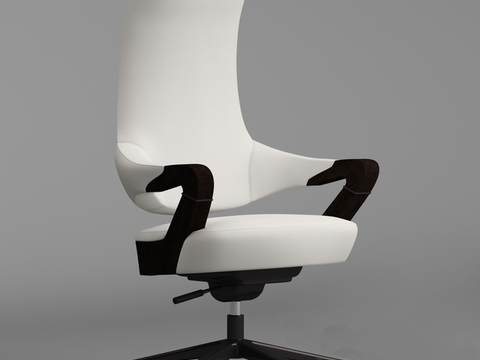 Modern Minimalist Creative Office Chair Free