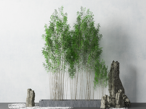 Modern bamboo rockery landscape sketch