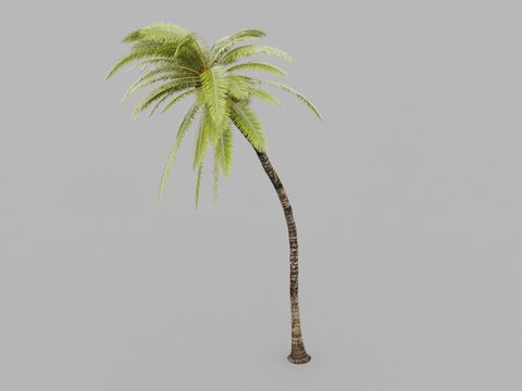 Coconut Tree Free