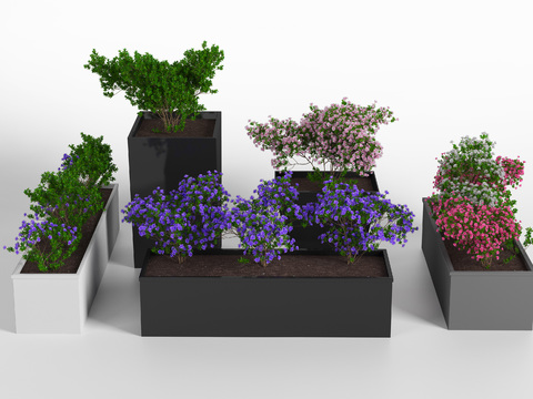 Modern outdoor green plant flower box