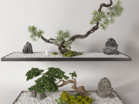 New Chinese pine rockery sketch