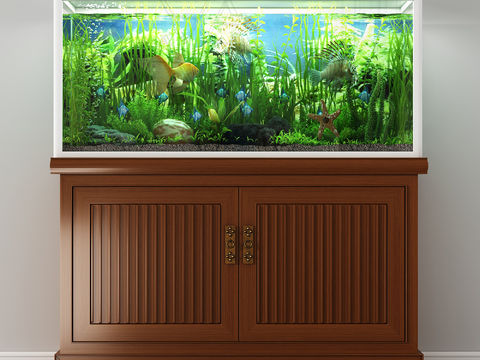 modern aquarium aquarium