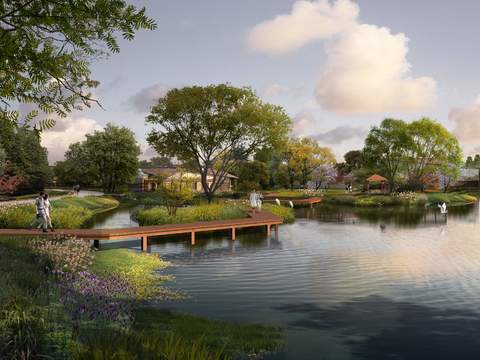 modern wetland bridge park garden psd