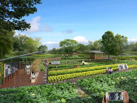 modern vegetable garden bird's eye view psd