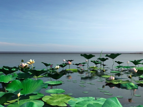 Modern Lotus Lake Landscape