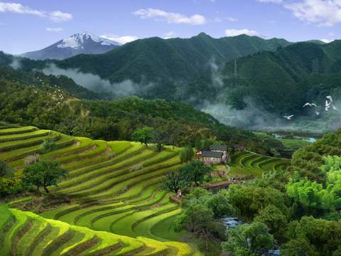 Neo-Chinese Style grass dam garden bird's eye view psd