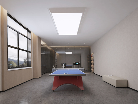 Gym Table Tennis Room