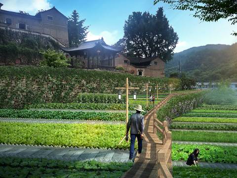 chinese vegetable plot landscape psd