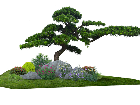 modern pok pine flower big tree landscape tree psd