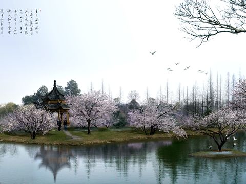 chinese river boat gazebo peach blossom tree psd