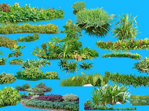 modern green plant flowers bushes psd