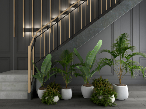 Modern Affordable Luxury Style Stair Green Plant Potted Plant