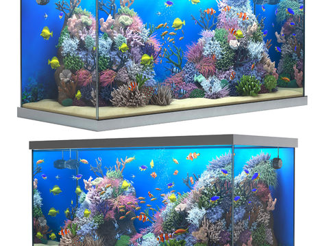 Modern Aquarium Fish Tank