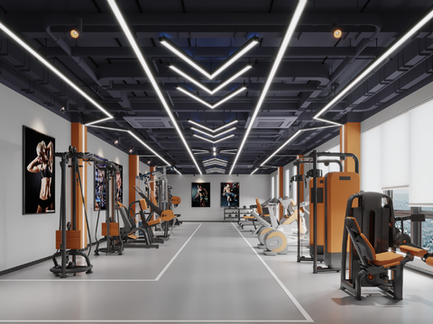 Modern Gym