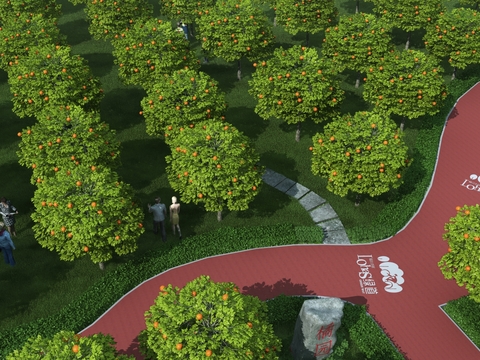 Modern Orange Orchard Landscape