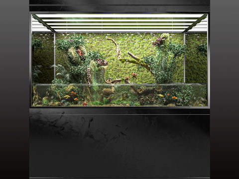 Modern fish tank