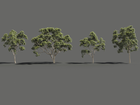 Modern landscape tree free