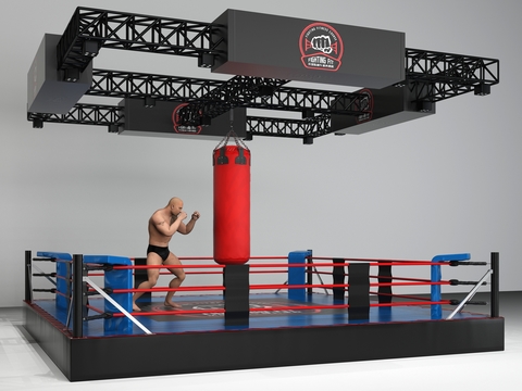 Modern boxing ring