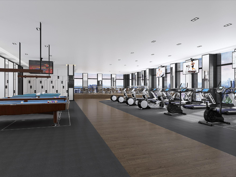 Modern billiard room gym