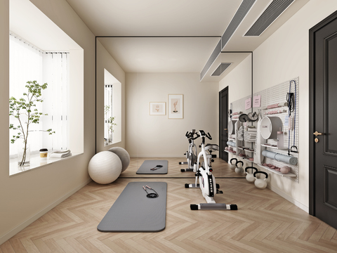 Modern Home Gym