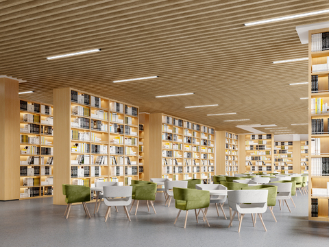 Modern Library Reading Area