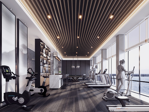 Modern minimalist gym