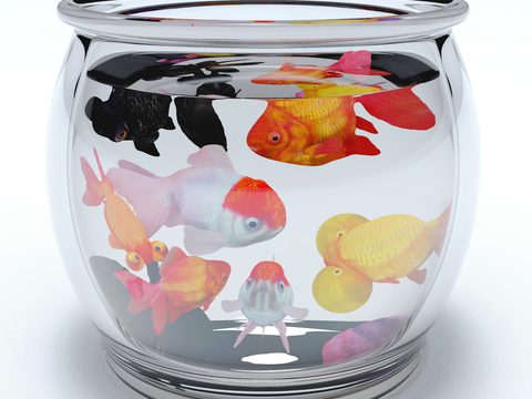 Modern Goldfish Glass Fish Tank