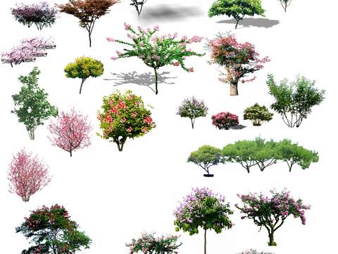 big trees trees landscape trees psd