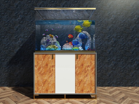 modern aquarium aquarium