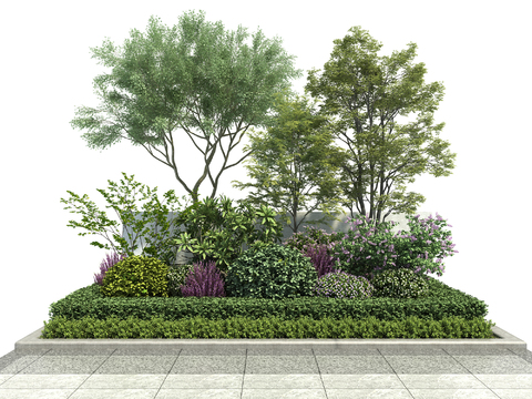 Modern Greening Trees Shrubs