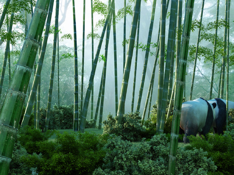 Modern bamboo landscape