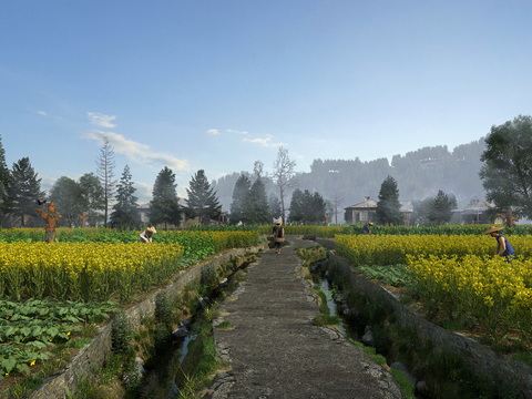 Natural Wind Country Rape Flower Field Vegetable Garden