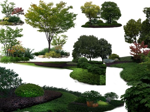 plant bushes flower bed big tree psd