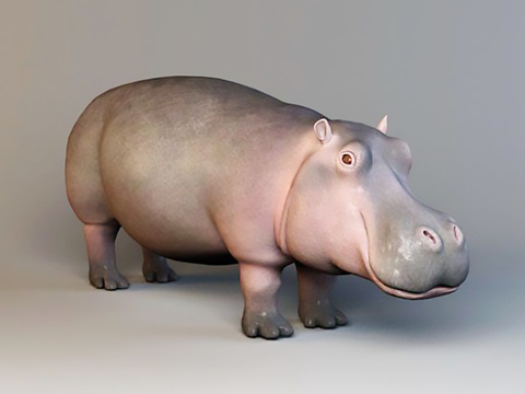 Hippo Cyprus Gnome Hippo Free